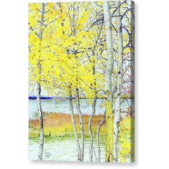 Gallery Canvas