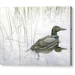 Gallery Canvas