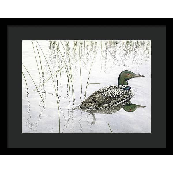 Loon - Framed Print | Artwork by Glen Loates