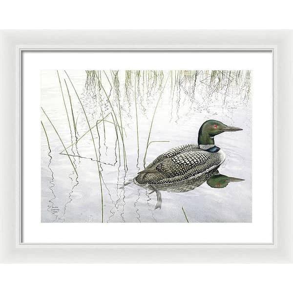 Loon - Framed Print | Artwork by Glen Loates