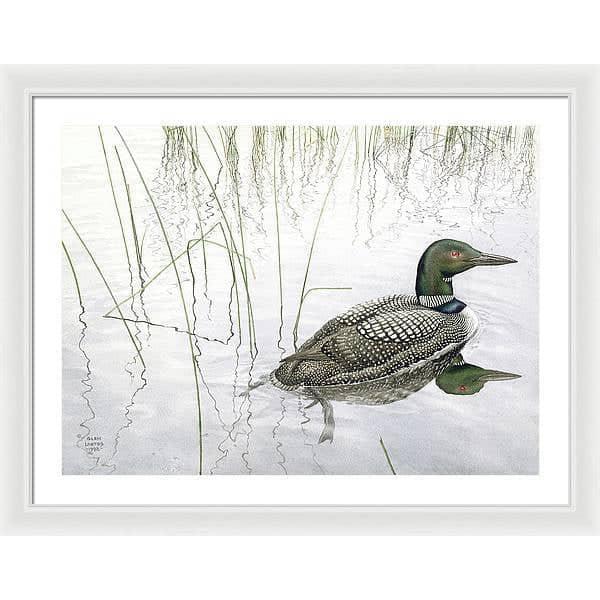 Loon - Framed Print | Artwork by Glen Loates