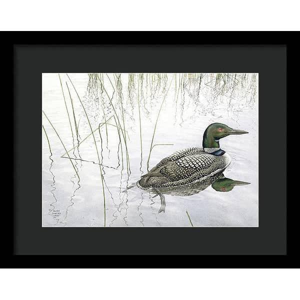 Loon - Framed Print | Artwork by Glen Loates