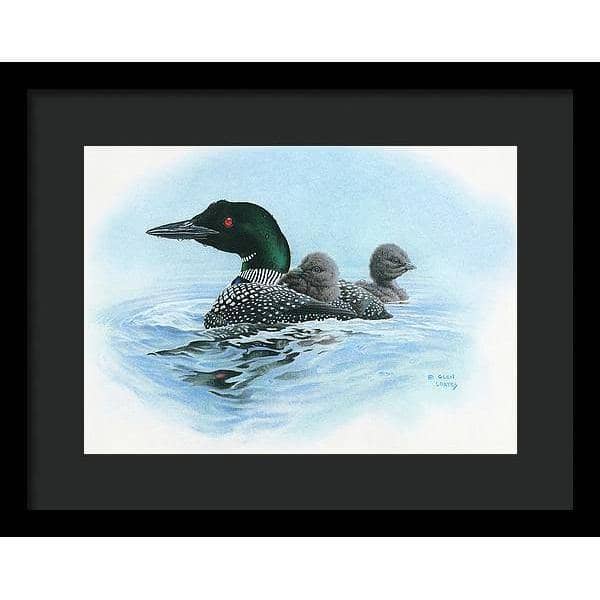 Loon in Calm Blue Waters - Framed Print | Artwork by Glen Loates