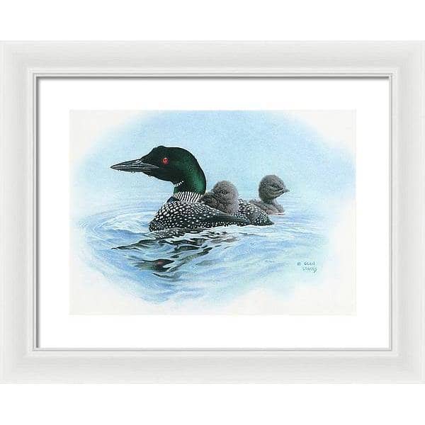 Loon in Calm Blue Waters - Framed Print | Artwork by Glen Loates