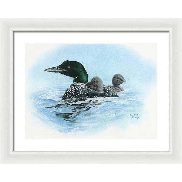 Loon in Calm Blue Waters - Framed Print | Artwork by Glen Loates