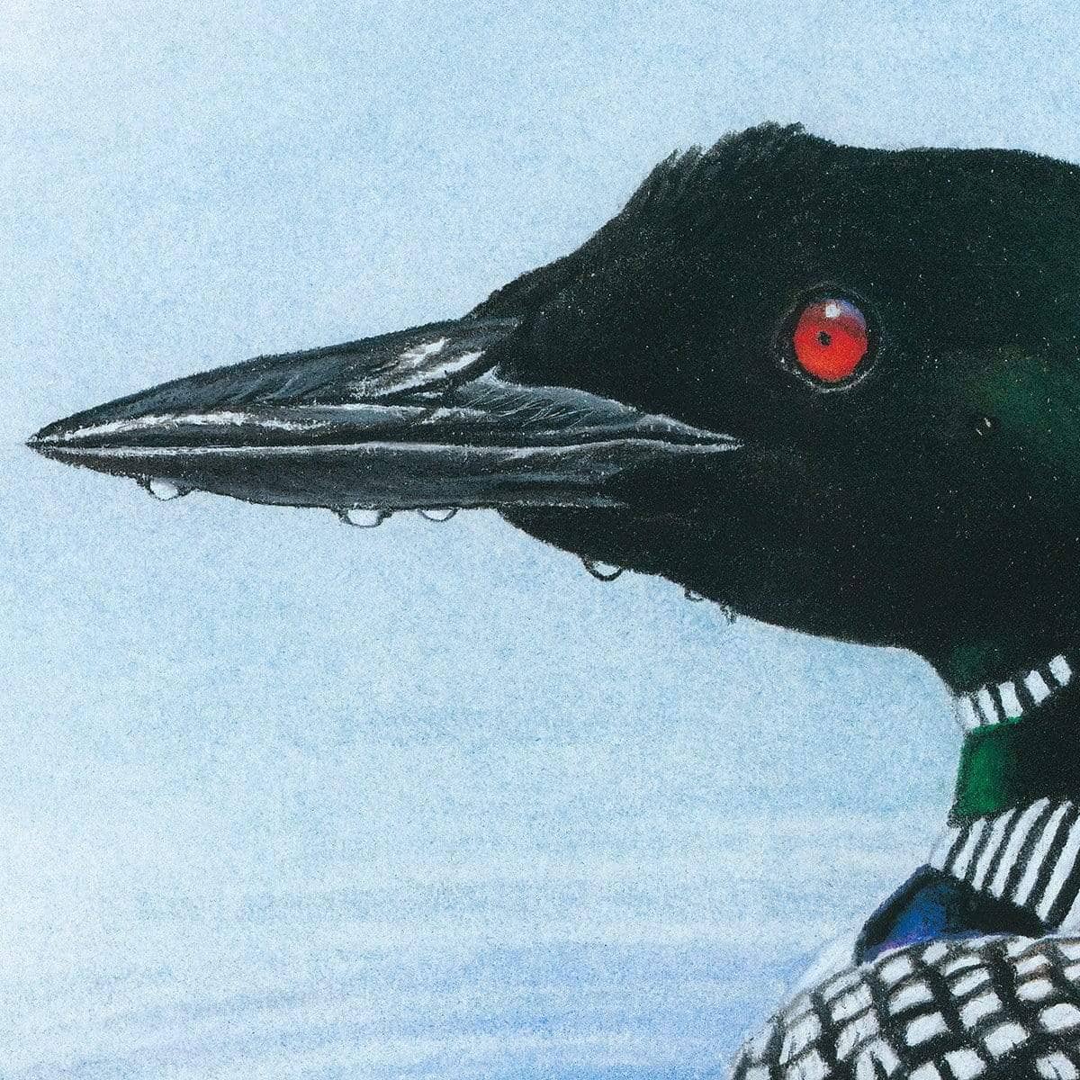 Loon in Calm Blue Waters - Framed Print | Artwork by Glen Loates