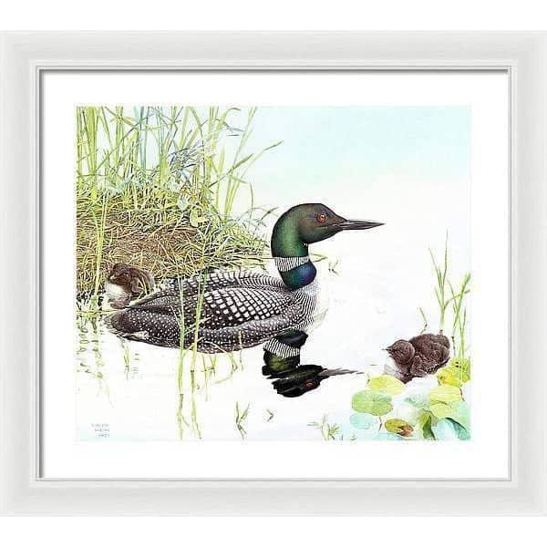 Loon with Young - Framed Print | Artwork by Glen Loates
