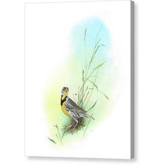 Gallery Canvas