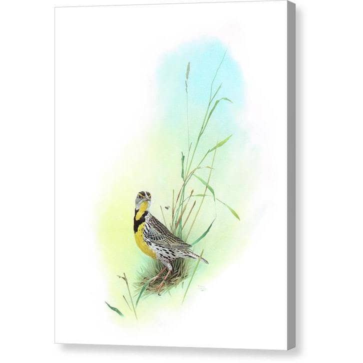 Meadow Lark - Canvas Print | Artwork by Glen Loates