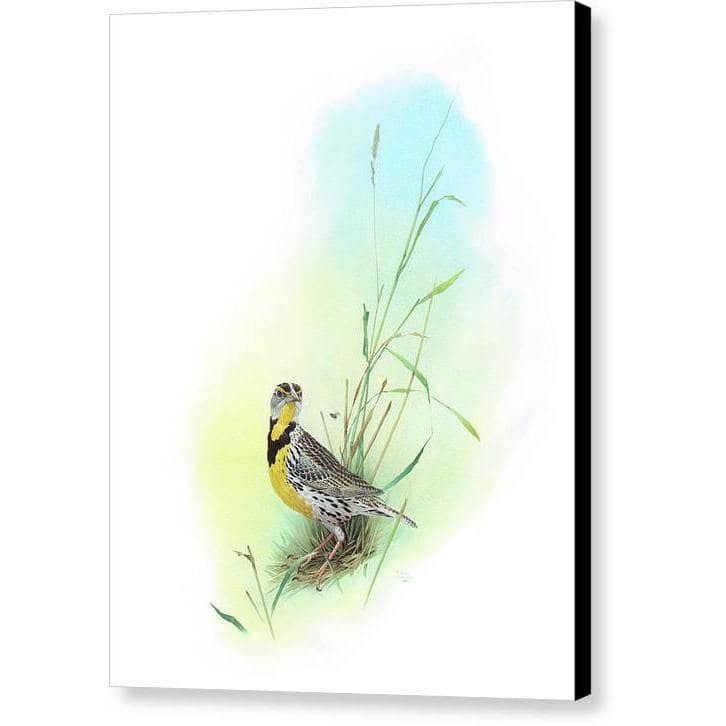Meadow Lark - Canvas Print | Artwork by Glen Loates