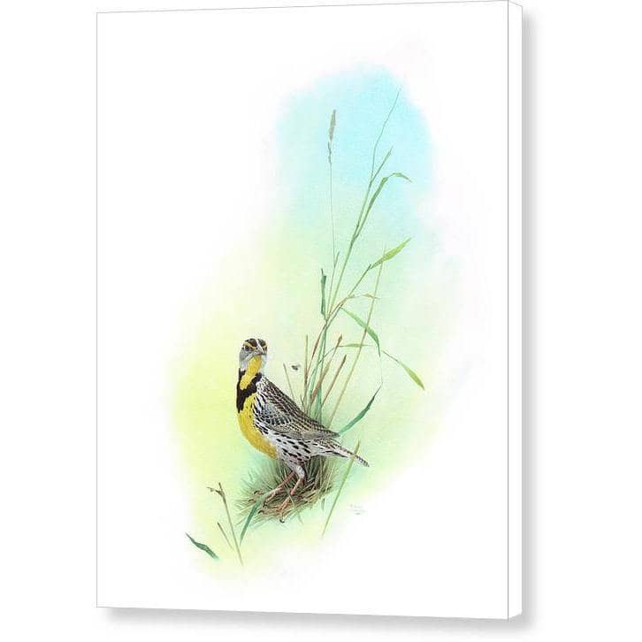 Meadow Lark - Canvas Print | Artwork by Glen Loates
