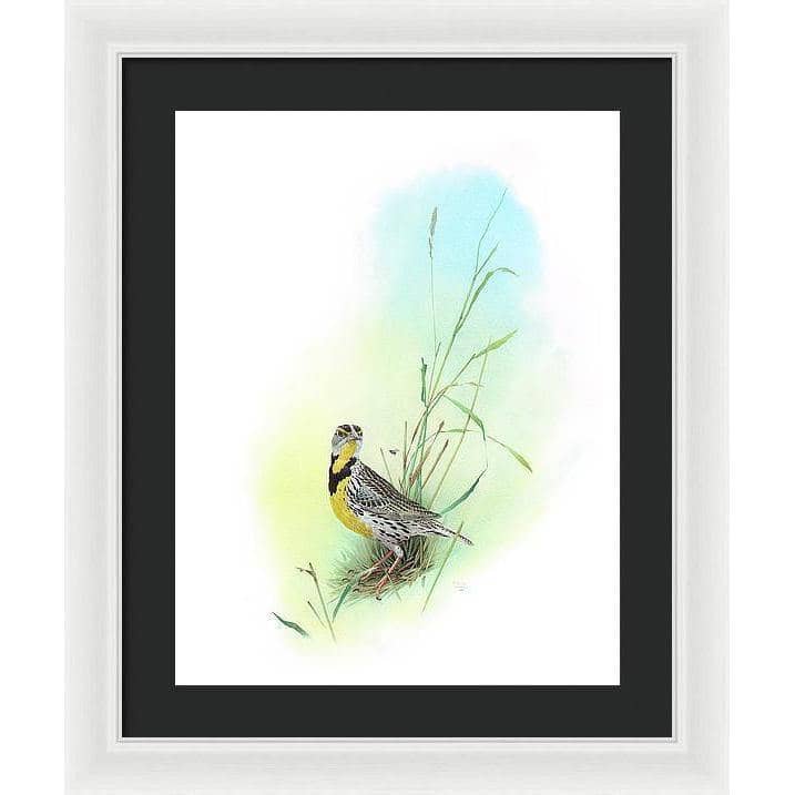 Meadow Lark - Framed Print | Artwork by Glen Loates