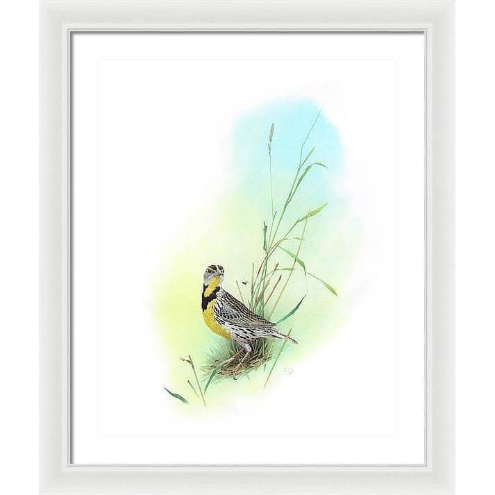 Meadow Lark - Framed Print | Artwork by Glen Loates