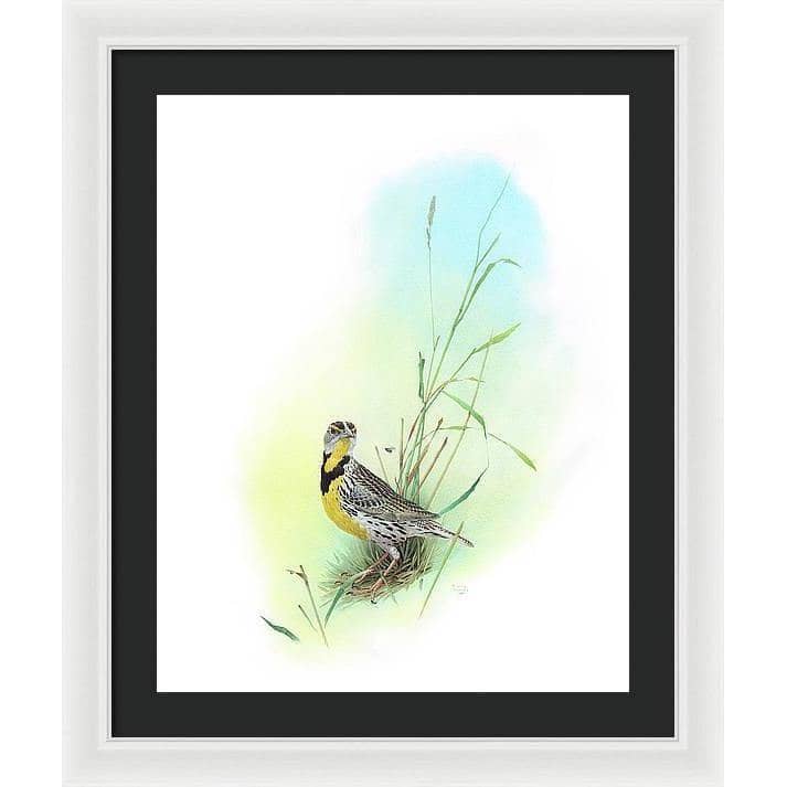 Meadow Lark - Framed Print | Artwork by Glen Loates