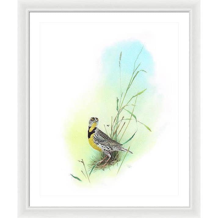 Meadow Lark - Framed Print | Artwork by Glen Loates
