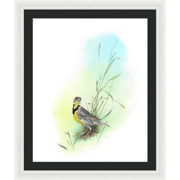 Meadow Lark - Framed Print | Artwork by Glen Loates