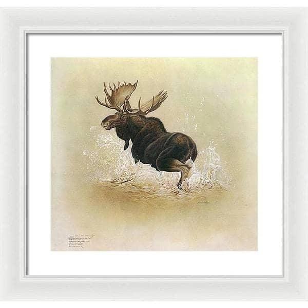 Moose - Framed Print | Artwork by Glen Loates