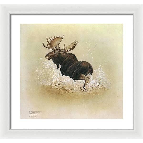 Moose - Framed Print | Artwork by Glen Loates