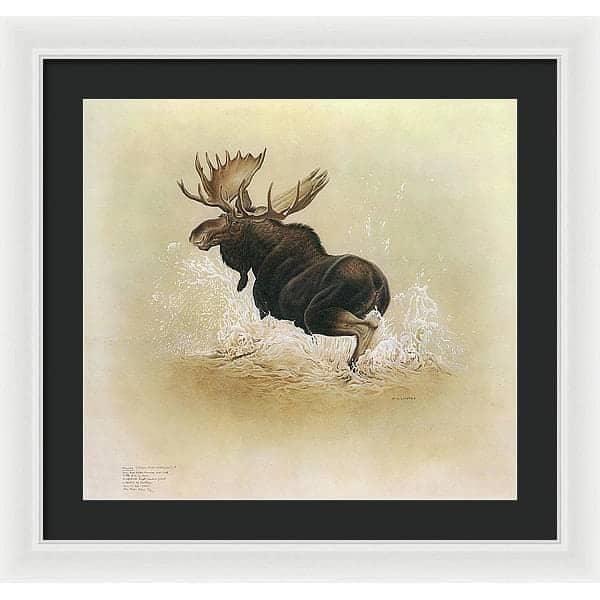 Moose - Framed Print | Artwork by Glen Loates