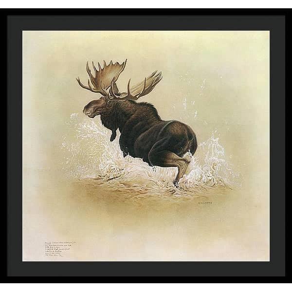 Moose - Framed Print | Artwork by Glen Loates