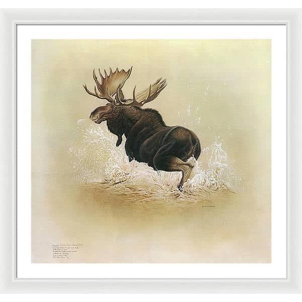 Moose - Framed Print | Artwork by Glen Loates