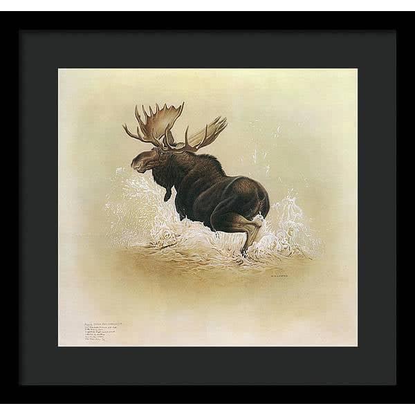 Moose - Framed Print | Artwork by Glen Loates