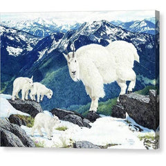 Toile tendue