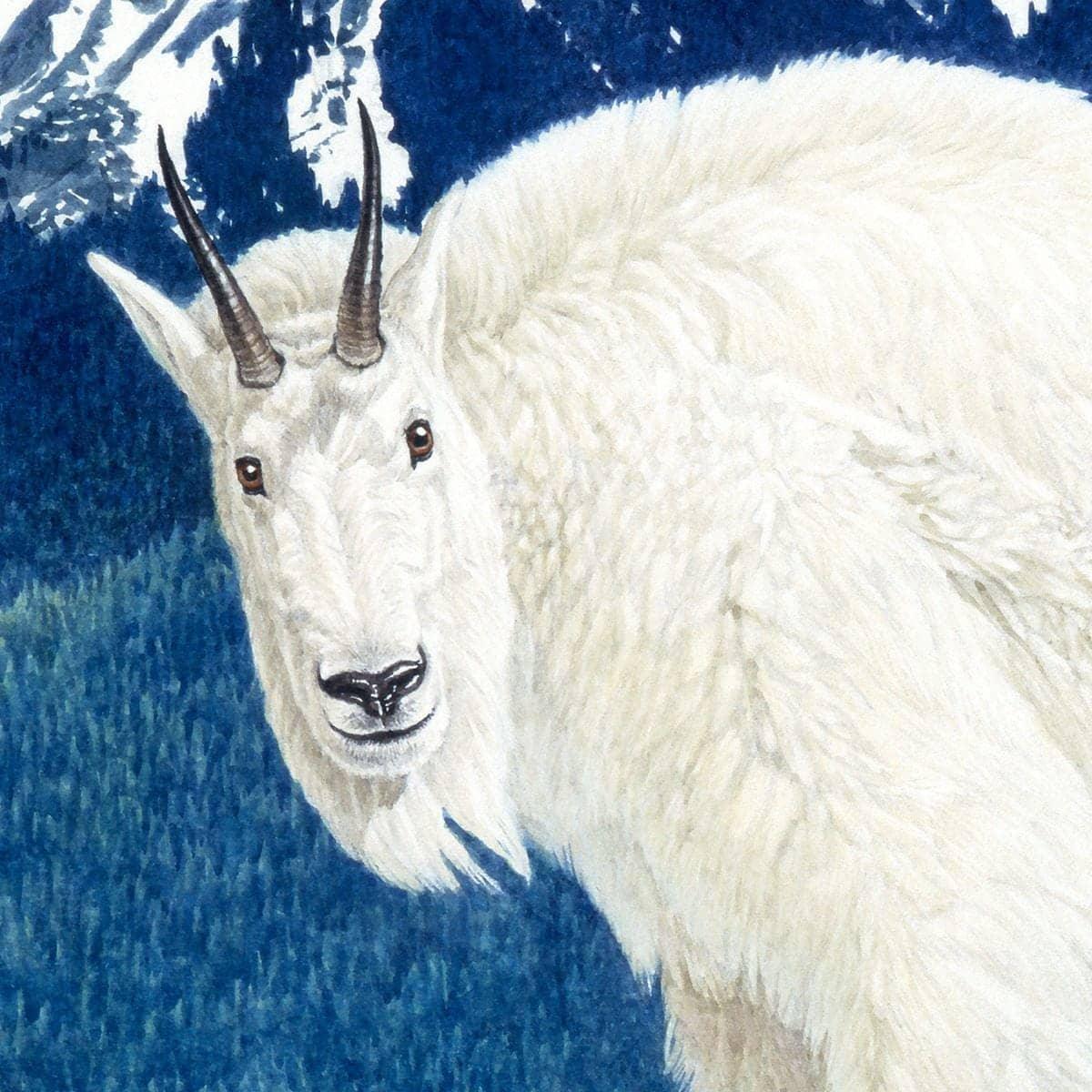 Mountain Goats and Kids - Canvas Print | Artwork by Glen Loates