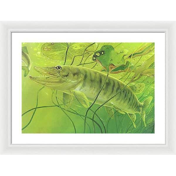 Muskellunge - Framed Print | Artwork by Glen Loates