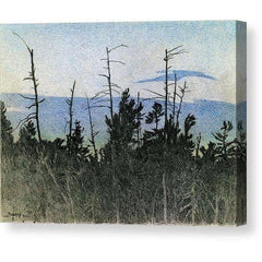 Gallery Canvas