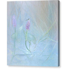 Toile Galerie