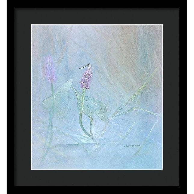 Pickerelweed - Framed Print | Artwork by Glen Loates