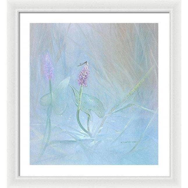 Pickerelweed - Framed Print | Artwork by Glen Loates