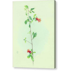 Gallery Canvas