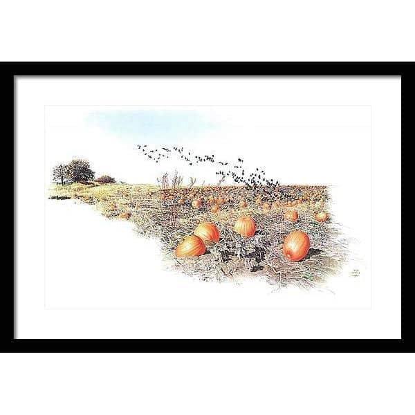 Pumpkin Patch - Framed Print | Artwork by Glen Loates