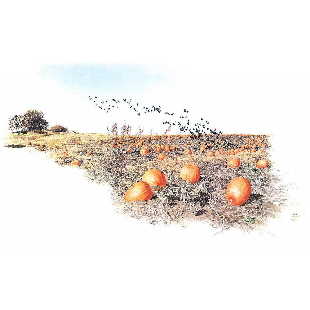 Pumpkin Patch - Framed Print | Artwork by Glen Loates