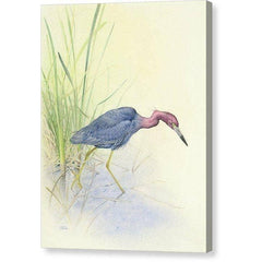 Gallery Canvas
