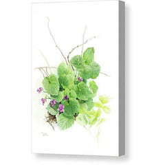 Gallery Canvas