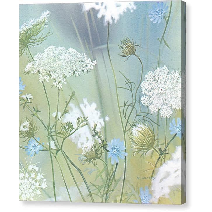 Achillée millefeuille par Glen Loates, toile de galerie : des carottes sauvages et de la chicorée bleue dans un pré d’été