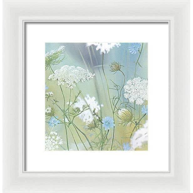 Queen Annes Lace - Framed Print | Artwork by Glen Loates