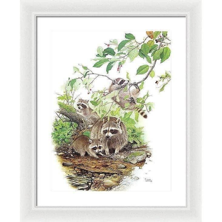 Raccoon Family - Framed Print | Artwork by Glen Loates