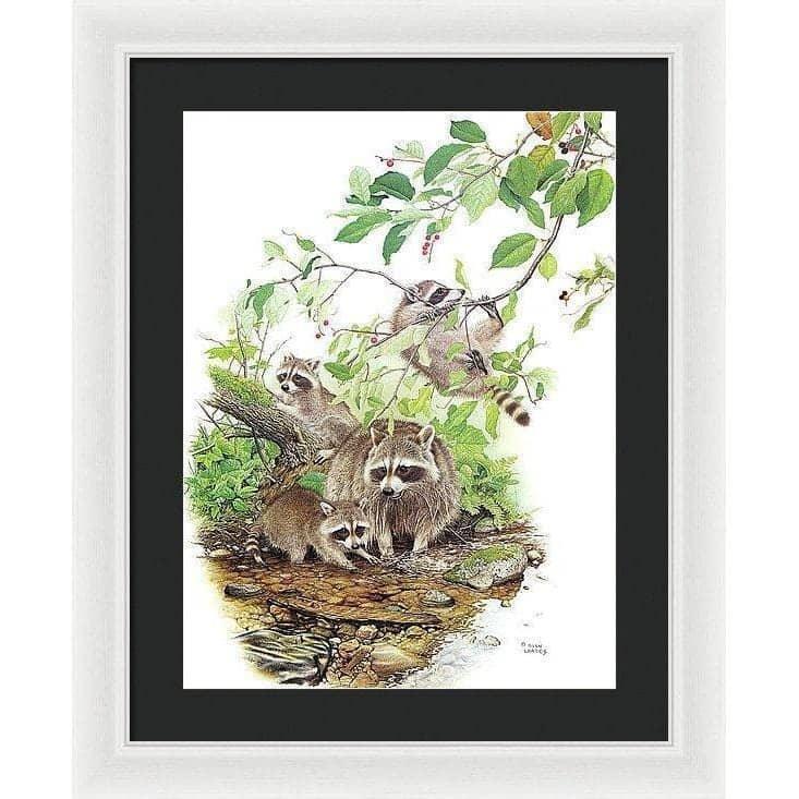 Raccoon Family - Framed Print | Artwork by Glen Loates