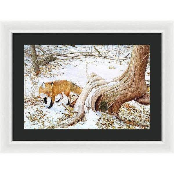 Red Fox and Cedar - Framed Print | Artwork by Glen Loates