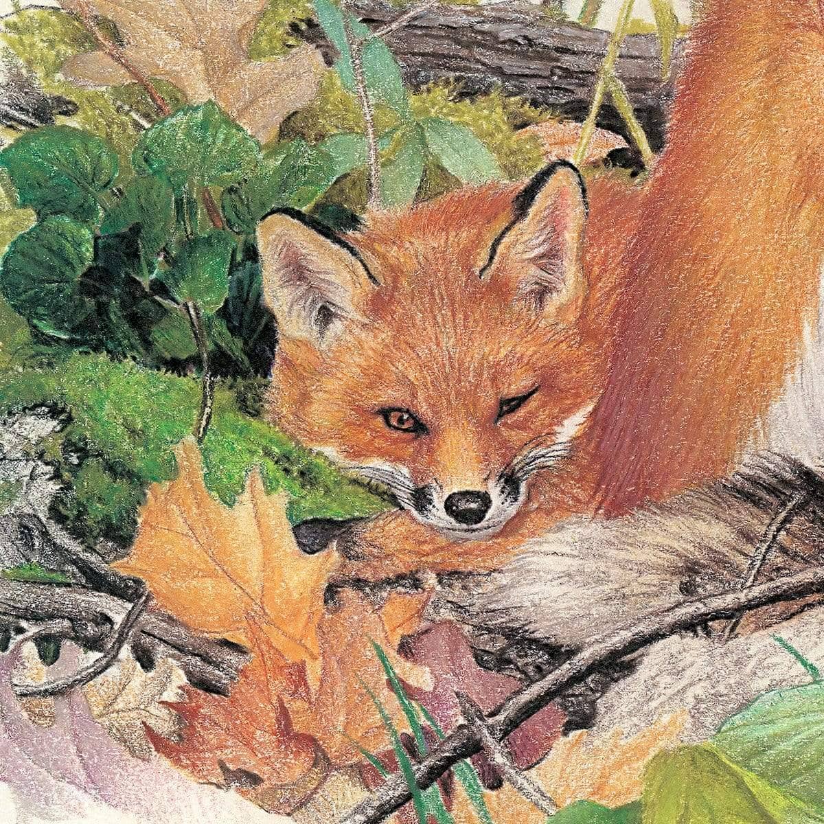 Red Fox and Kits - Framed Print | Artwork by Glen Loates
