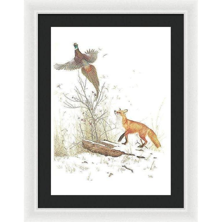 Red Fox and Ring-necked Pheasant - Framed Print | Artwork by Glen Loates