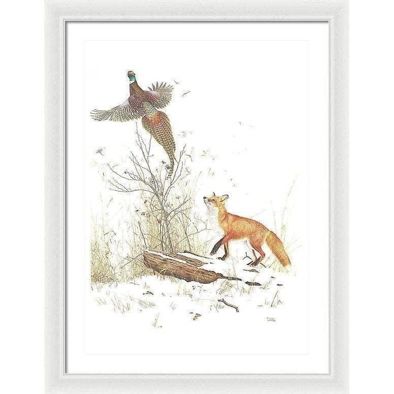 Red Fox and Ring-necked Pheasant - Framed Print | Artwork by Glen Loates