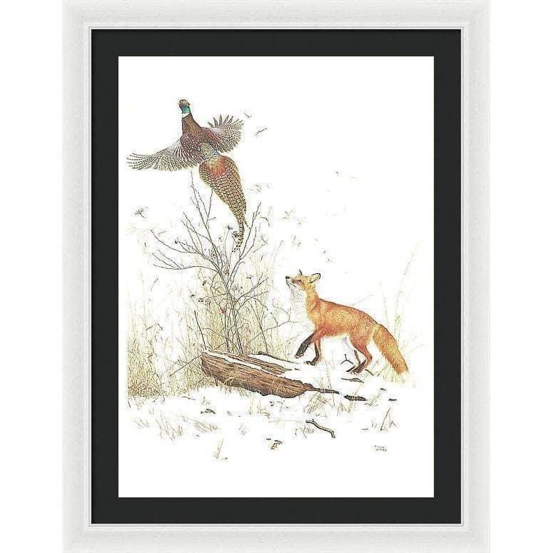 Red Fox and Ring-necked Pheasant - Framed Print | Artwork by Glen Loates