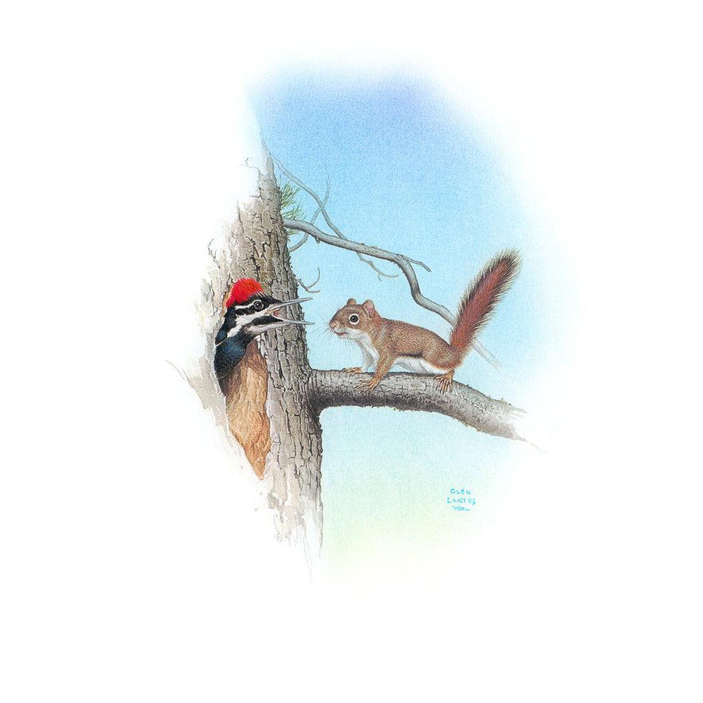 Red Squirrel and Pileated Woodpecker - Canvas Print | Artwork by Glen Loates
