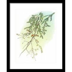 Framed Piece