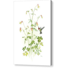 Gallery Canvas